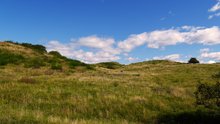 Hiddensee